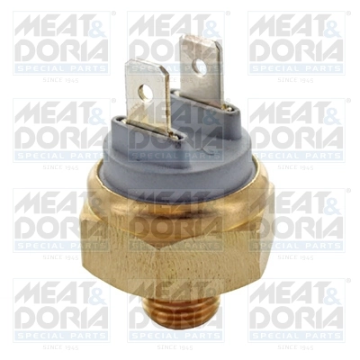 Temperature Switch, coolant warning lamp
